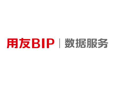 用友BIP | 数据服务